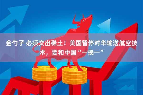 金勺子 必须交出稀土！美国暂停对华输送航空技术，要和中国“一换一”