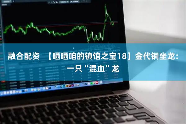 融合配资  【晒晒咱的镇馆之宝18】金代铜坐龙：一只“混血”龙