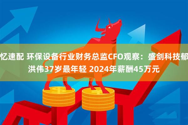 忆速配 环保设备行业财务总监CFO观察：盛剑科技郁洪伟37岁最年轻 2024年薪酬45万元