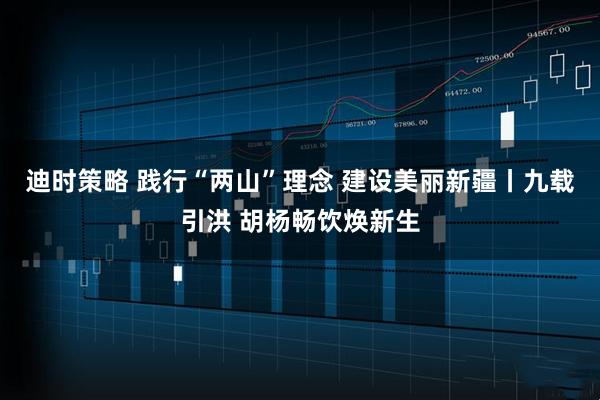 迪时策略 践行“两山”理念 建设美丽新疆丨九载引洪 胡杨畅饮焕新生