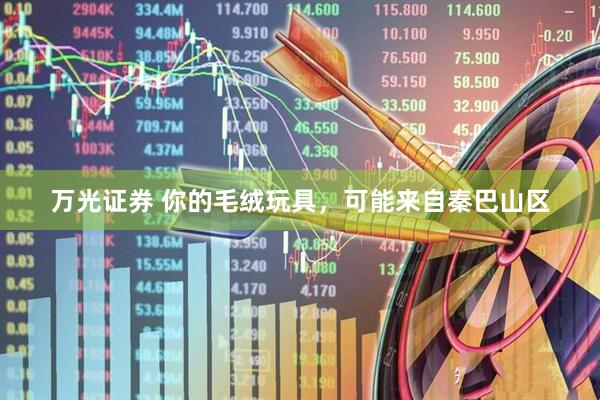 万光证券 你的毛绒玩具，可能来自秦巴山区