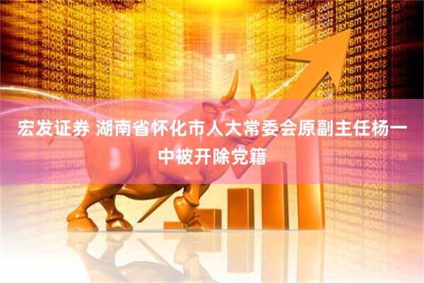 宏发证券 湖南省怀化市人大常委会原副主任杨一中被开除党籍