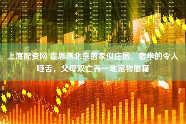 上海配资网 霍思燕北京的家似庄园，奢华的令人咂舌，父母双亡养一堆宠物慰藉