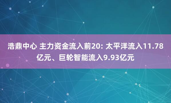 浩鼎中心 主力资金流入前20: 太平洋流入11.78亿元、巨轮智能流入9.93亿元