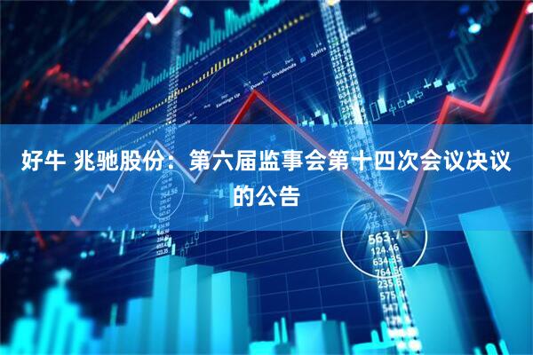 好牛 兆驰股份：第六届监事会第十四次会议决议的公告